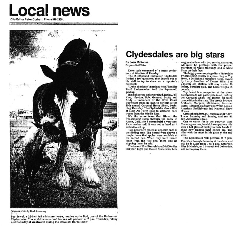 Clydesdales are Big Stars