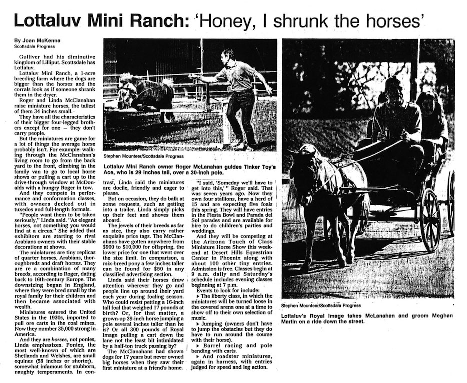 Lottaluv Mini Ranch: ‘Honey, I Shrunk the Horses’