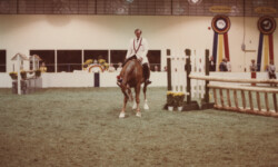 Mr Rythm at the St. Louis National Charity Horse Show. (Photo by Joanie McKenna) Mr Rythm at the St. Louis National Charity Horse Show.