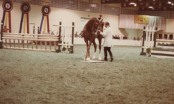 Mr Rythm at the St. Louis National Charity Horse Show. (Photo by Joanie McKenna) Mr Rythm at the St. Louis National Charity Horse Show.